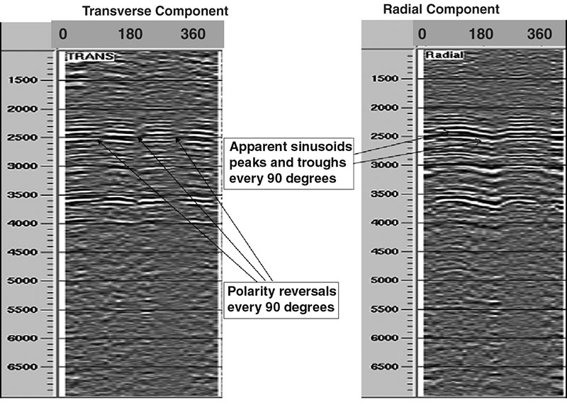 Figure 2 – Azimuth-sector gathers displaying characteristic signatures for radial and transverse components. 