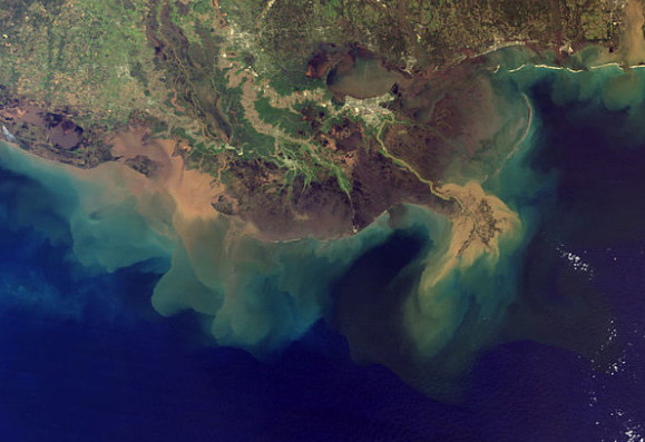 What Makes the Mississippi Delta Sink?