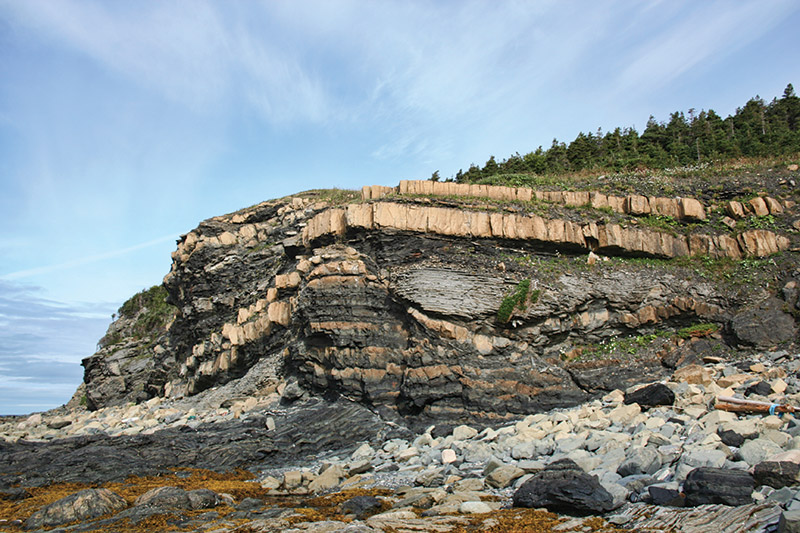 Interbedded, brown weathered dolomitic siltstone, ribbon limestone and shale of the Cambro-Ordovician Cow Head Group exposed along the
shoreline beneath Lobster Cove Lighthouse at Rocky Harbour, Bonne Bay, in Western Newfoundland. Photo courtesy of Larry Hicks