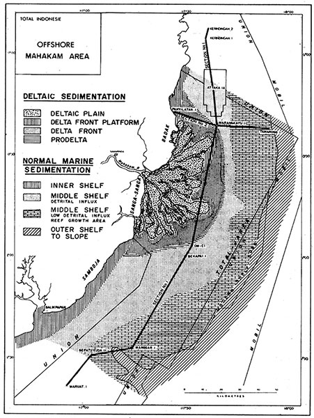 Depositional environments in the Mahakam area. All offshore wells drilled until 1973 are located on the two cross-lines.