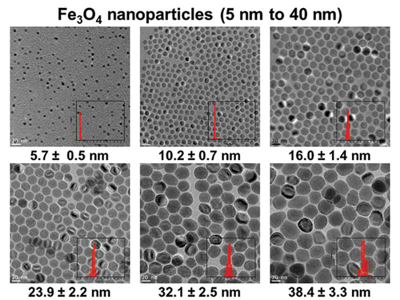 These transmission electron microscope (TEM) micrographs illustrate the Colvin (Rice University) Group’s ability to synthesize magnetite (Fe3O4), controlling nanocrystal grain sizes and size distributions (histograms).