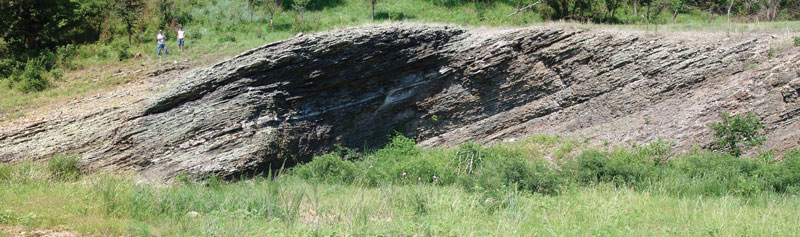 A portion of the informal upper member of the Woodford Shale (Upper Mississippian-Lower Devonian) in the Arbuckle Mountains, Oklahoma. The exposure – 230 feet in composite vertical thickness – represents a continuous, complete section. Photo couresy of Stan Paxton.
