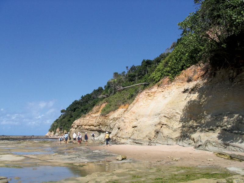 Unlocking offshore secrets: Brazil’s Sergipe-Alagoas Basin outcrops offer the sedimentary records of Paleozoic, pre-rift Jurassic, Lower Cretaceous rift rocks and younger drift successions – an excellent place to study the South Atlantic Margin.