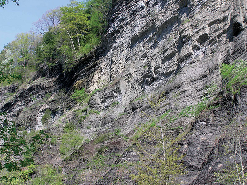 The Marcellus Shale: The play is all about the fractures in the rock and how you tap into them. Photo courtesy of Terry Engelder