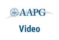 AAPG Virtual Delegate Bag item - Analytics-Based Opportunities in Double Black Swan Times 