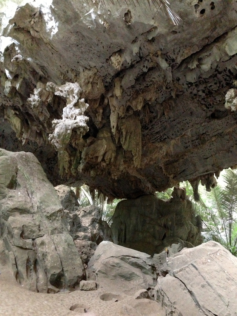 Inside a sinkhole or collapsed cave in Uthai Thani, central Thailand. Cave floor to ceiling is about 5 meters. The Permian limestone here was uplifted by strike-slip motion in the Tertiary and then subjected to karstification by groundwater. Similar features were interpreted in the subsurface of a gas field in northeastern Thailand.
