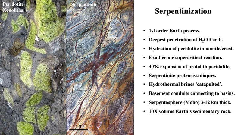 Figure 5: Examples of peridotite xenoliths