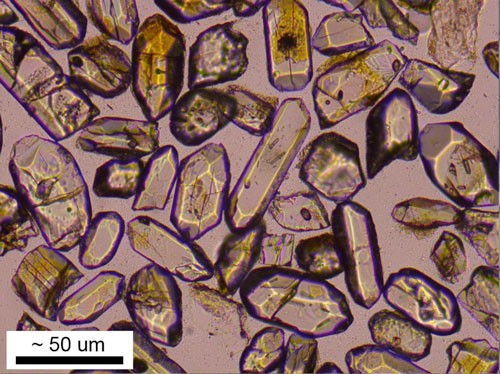 Detrital zircon grains. Photo was taken using transmitted light and shows the internal character of these zircons.