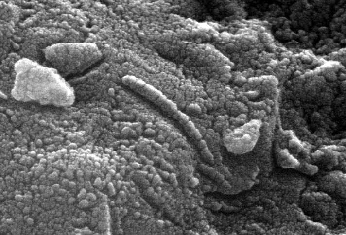 01jan-the-search-for-life-on-mars-fig2