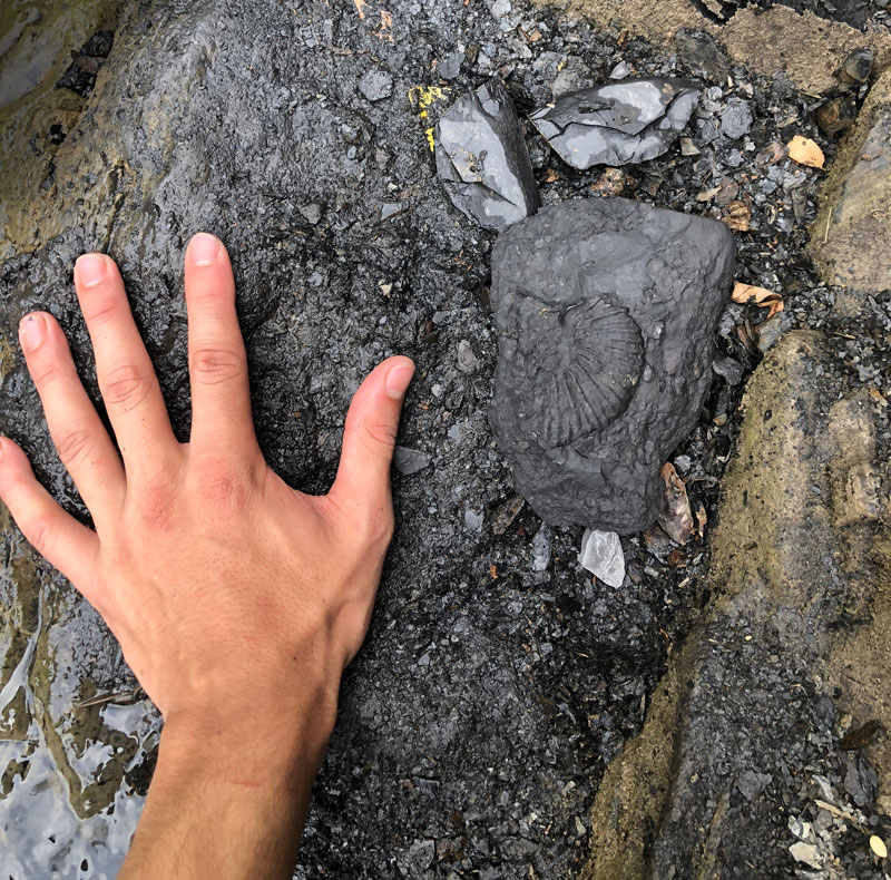 a-geoscientists-perspective-fig1