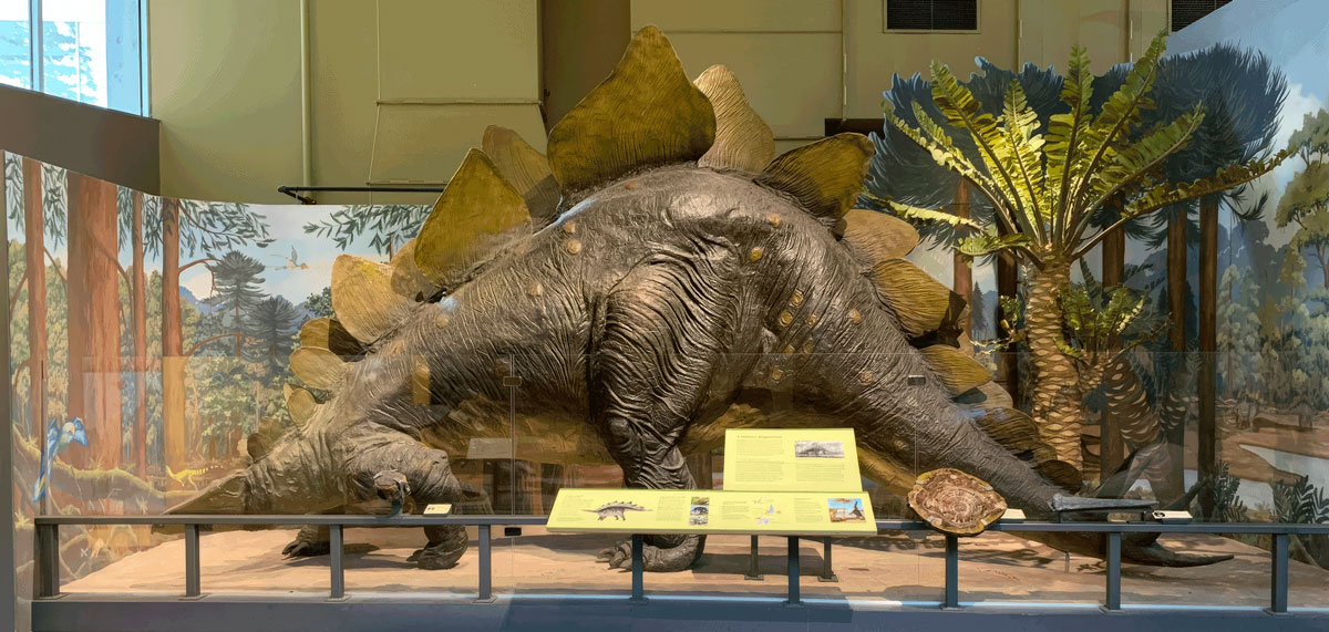 americas fossil record fig3