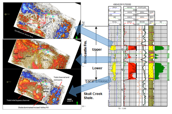 Fig. 3. Poor quality seismic is better than no seismic! Characterization of transgressive section from Lower Newcastle sands incised in to the Skull Creek shale, through estuarine and deltaic sediments, and beach barrier section in the upper Newcastl