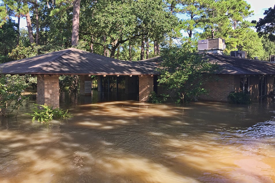Here’s How You Can Help in the Wake of Disaster