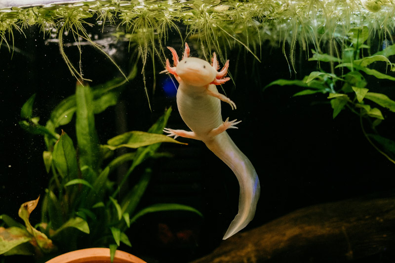 history-geology-unique-fig1