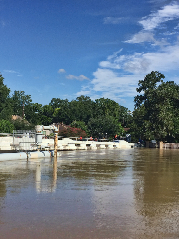 in-the-wake-of-harvey-fig1