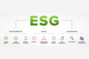 Is There a Dark Side to ESG?