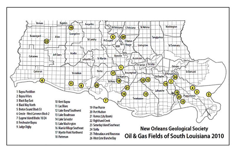 louisiana-field-studies-volume-revived-fig2