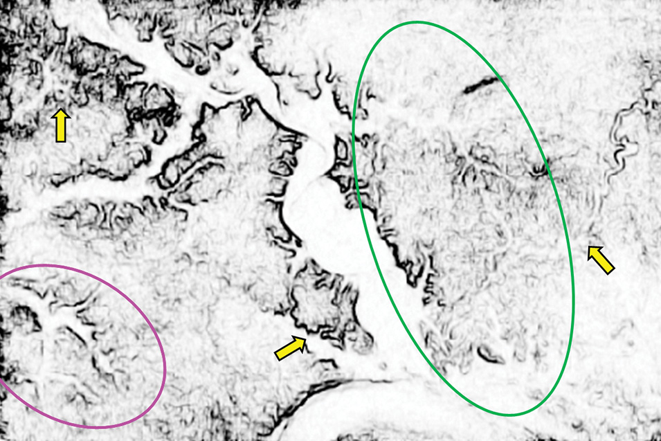 Multiazimuth Coherence Attribute Applications