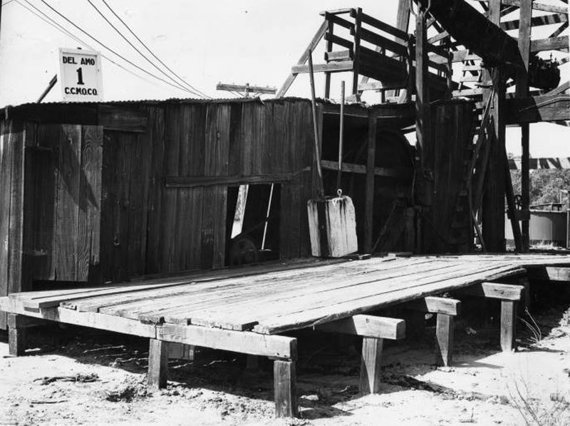 one-family-three-giants-fig6