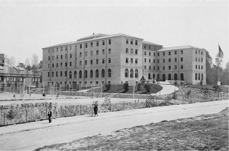 one-family-three-giants-fig8