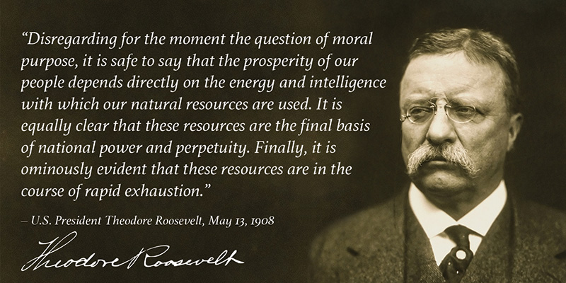 Roosevelt-quote