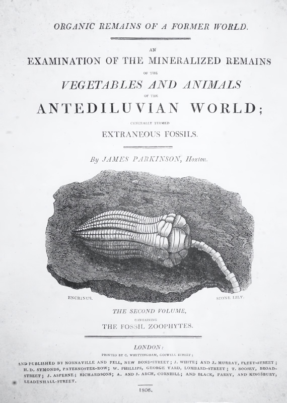 the-famous-geologist-fig1