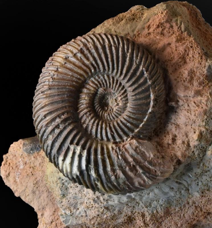 the-famous-geologist-fig3