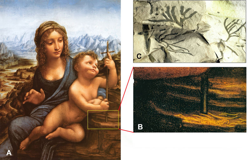 the-geological-thinking-fig4