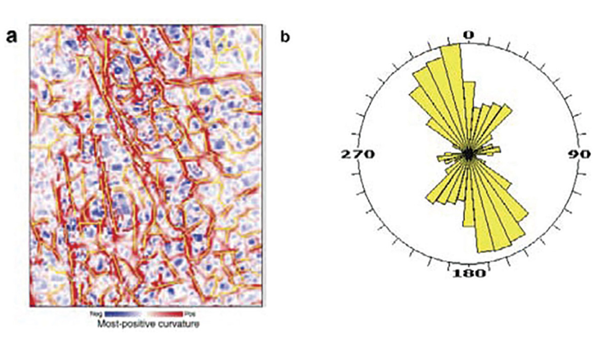 using-curvature-to-map-faults-fractures-f3