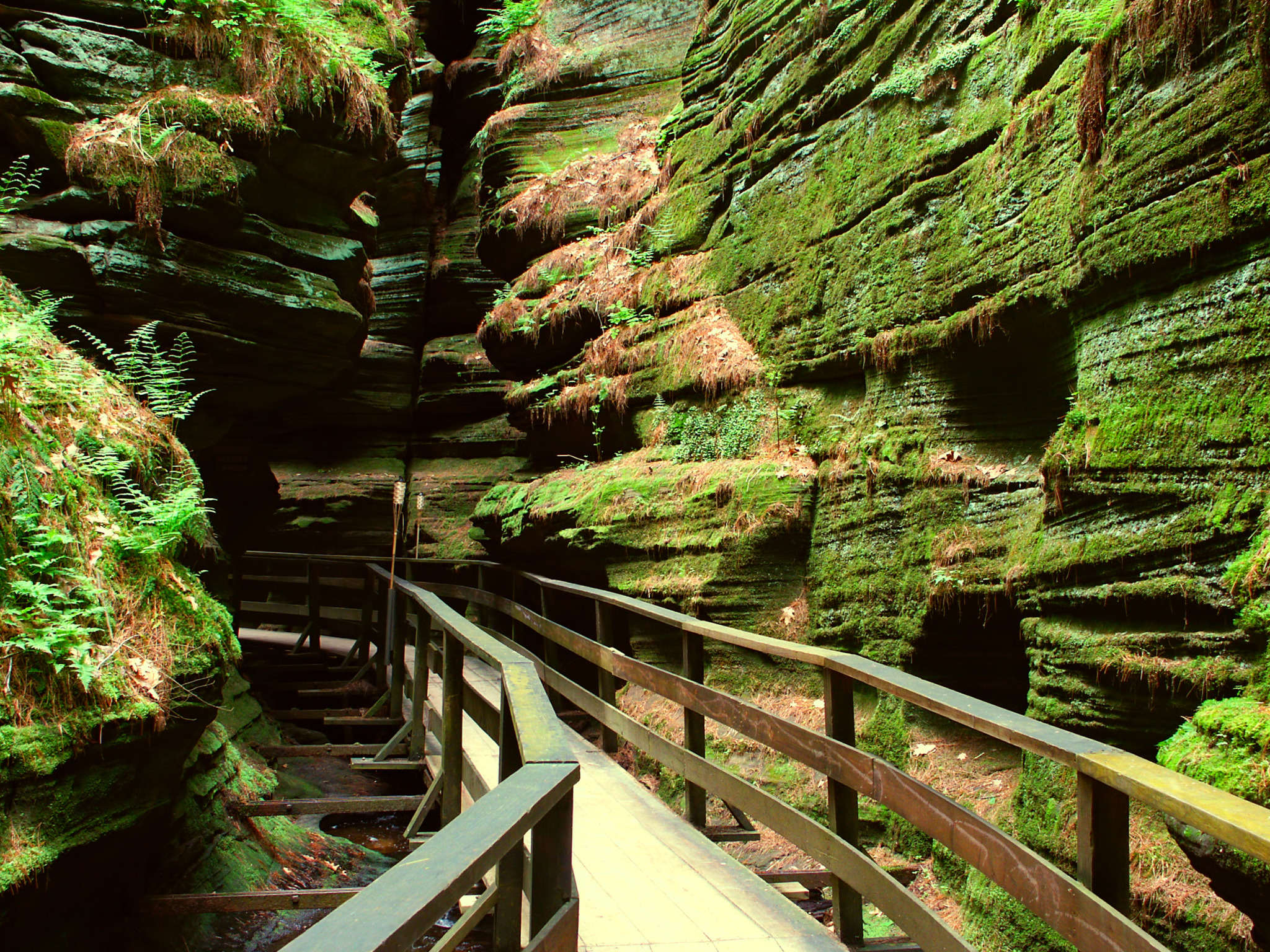 Witches Gulch_Jason Patrick Ross