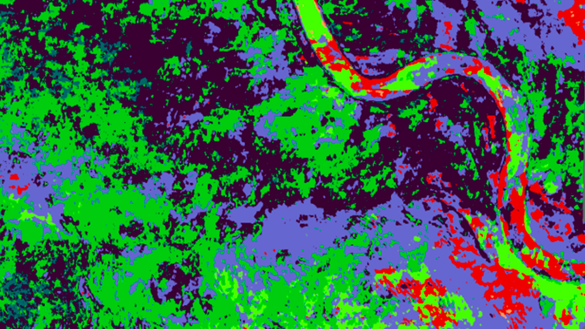 Kmeans Clustering and Its Application