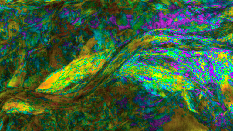 Human Insight with Machine Precision for Clearer Geology