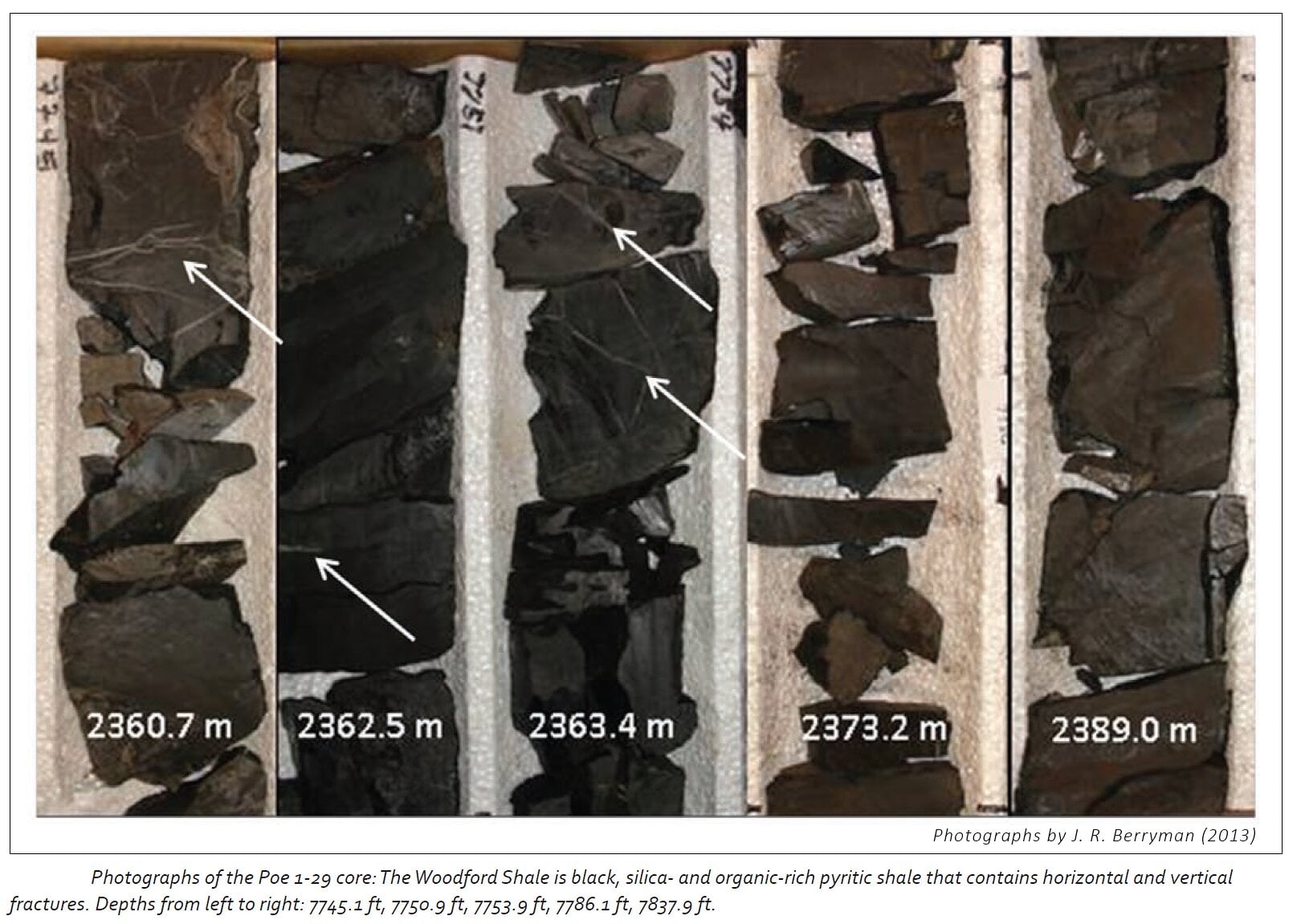 The Woodford Shale in Focus