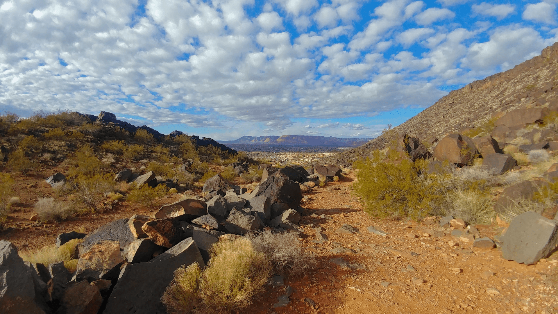 Desert Vista