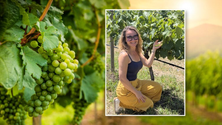 In Vino, Geologia