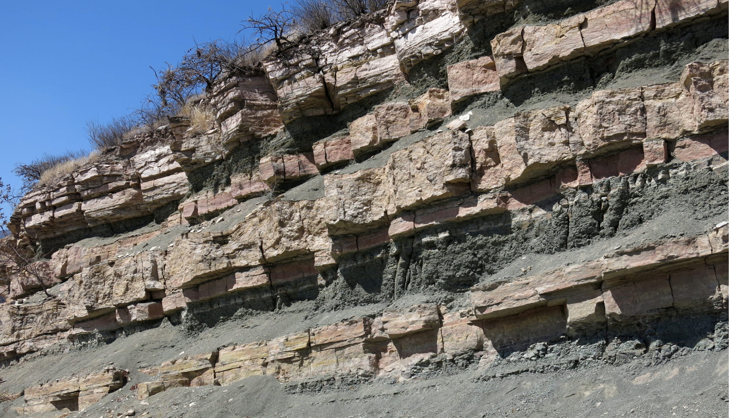 Distinguished Lecture: Developments in Sequence Stratigraphy