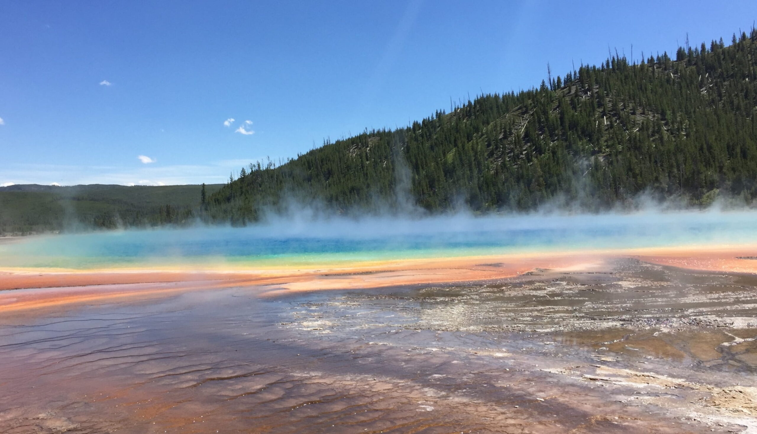 Distinguished Lecture: Inferring Permeability in Geothermal Fields Using Seismic Imaging and Machine Learning